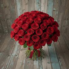 Букет 55 Красных роз Фридом #REPLACE_PRED# Березовке