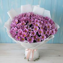 Букет цветов из:  Хризантемы в Березовке
