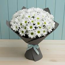 Букет цветов из:  Хризантемы в Березовке