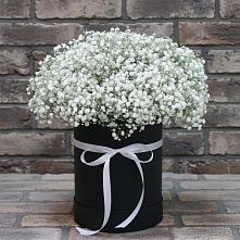 Цветочная композиция из Гипсофила в шляпной коробке в Березовке
